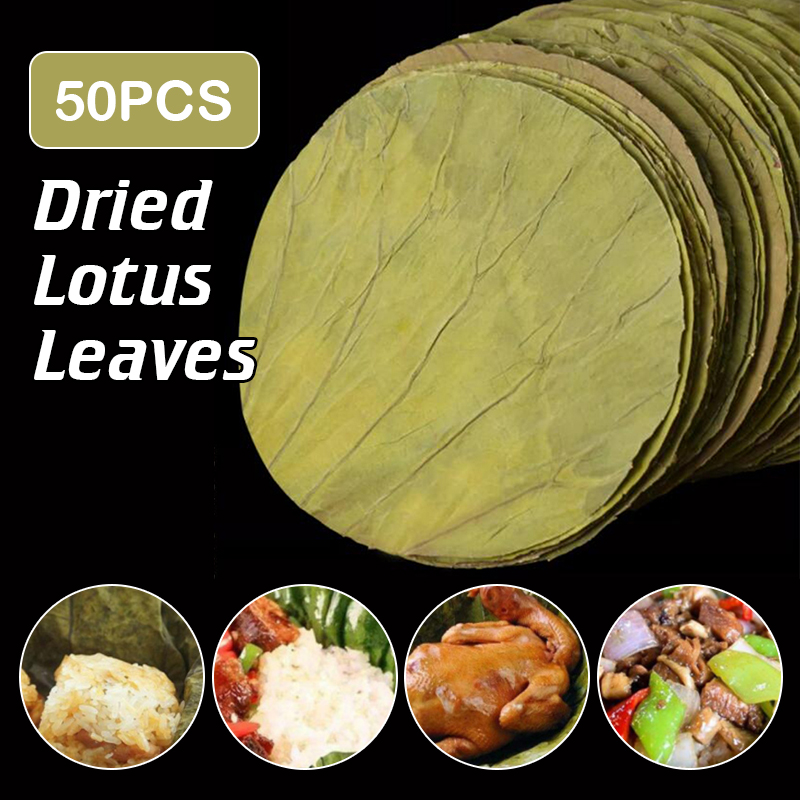 Home Cooking Recipes - 50 pz 22 cm grande naturale